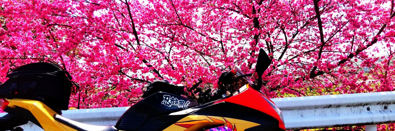 tanshayarou's profile banner image