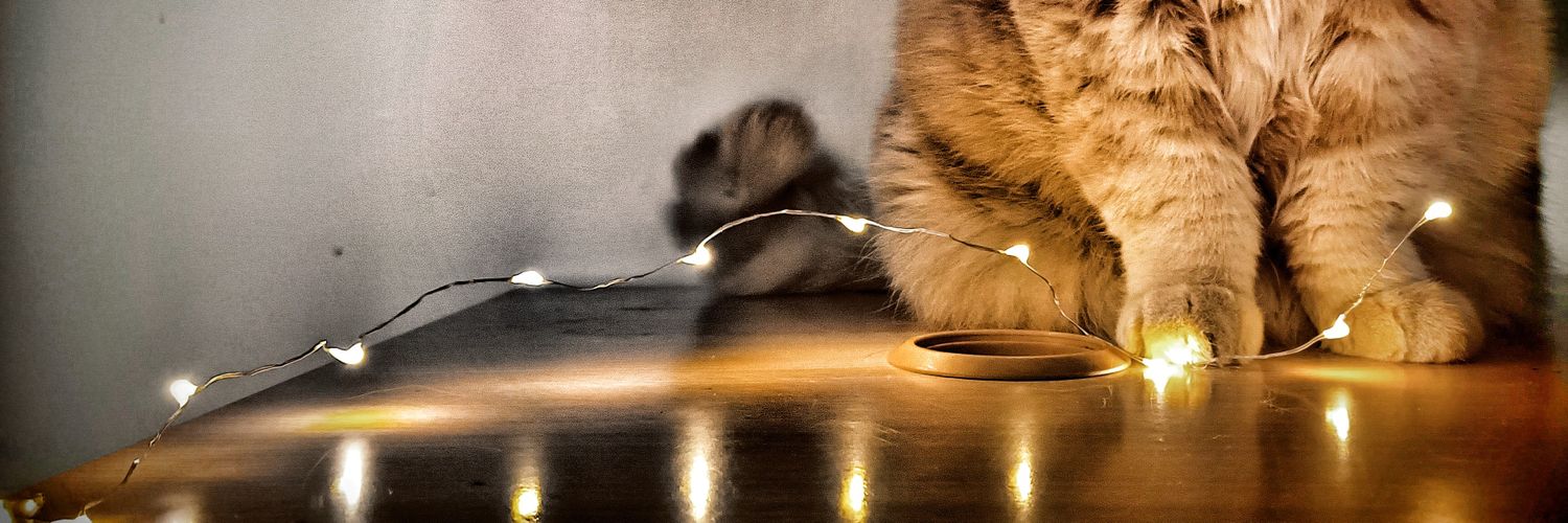Dusiash95's profile banner image
