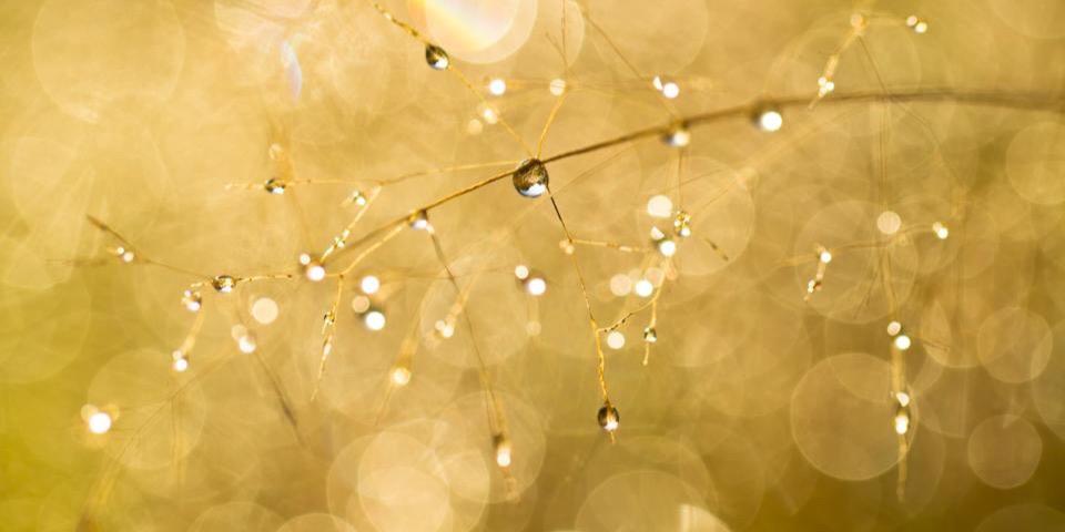 JeanetteKars's profile banner image
