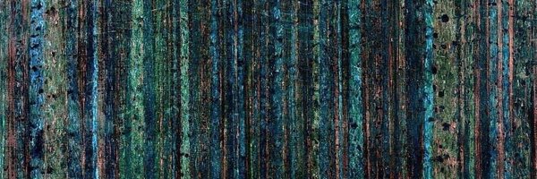 GareRick Profile Banner