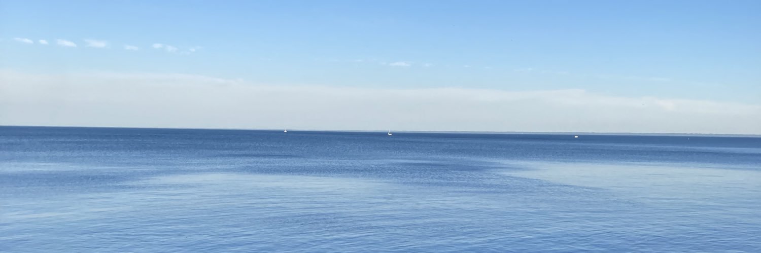 DanielaPcf's profile banner image
