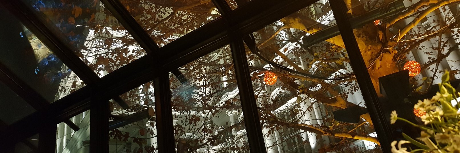 Marco van der Hoeven banner