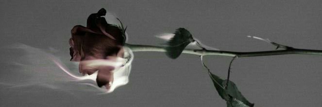 juno__official's profile banner image
