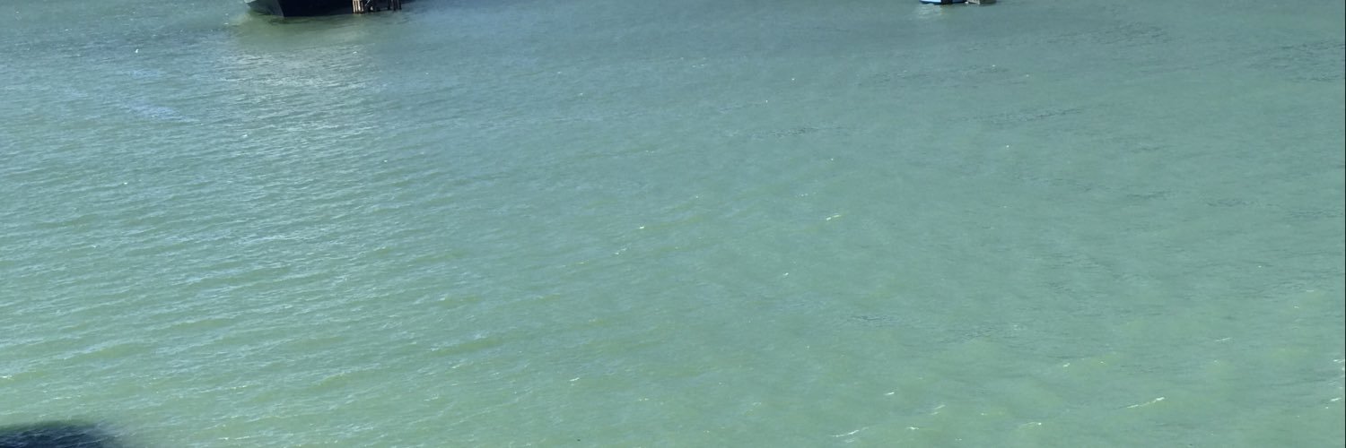 Loree Hampton banner