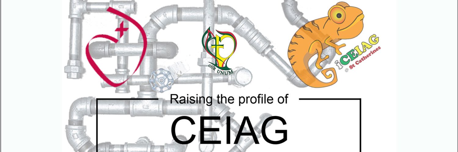 Iceiagstcatherines banner