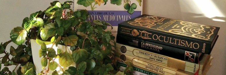 vanessa🧘‍♀️ banner