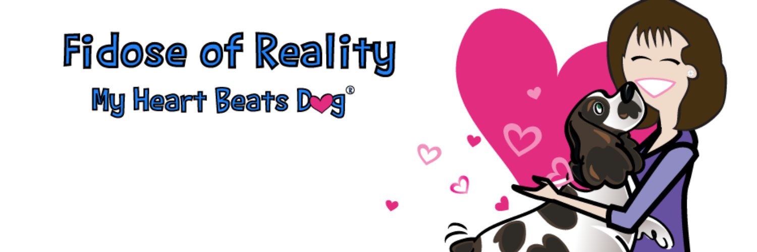 FidoseofReality banner