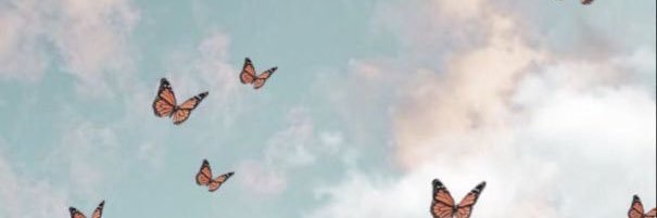 ashaylaROZAY's profile banner image
