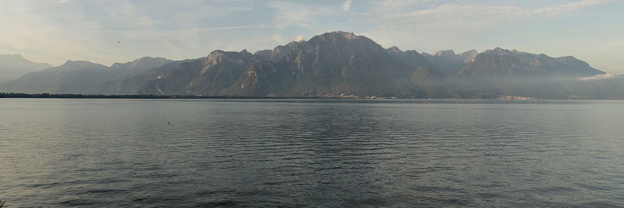 AWerfhorst's profile banner image