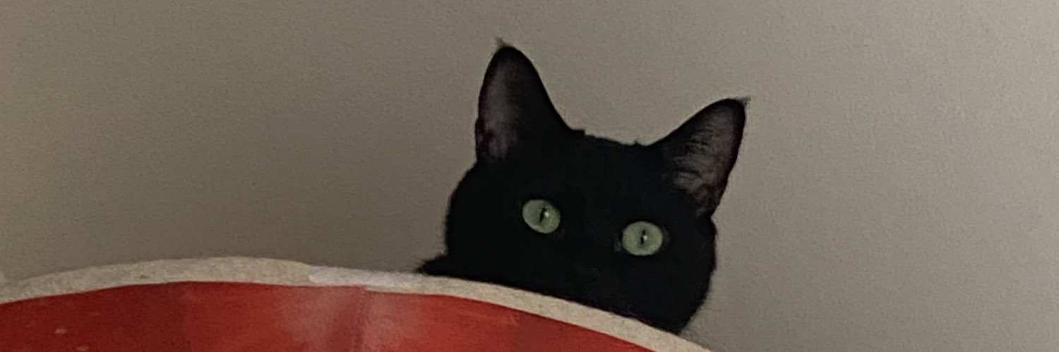 momijint's profile banner image