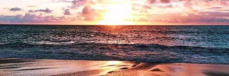 Shay_MissOnly's profile banner image