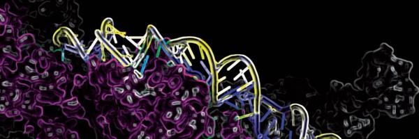 VintherLab Profile Banner