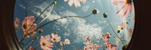 aalessandras's profile banner image