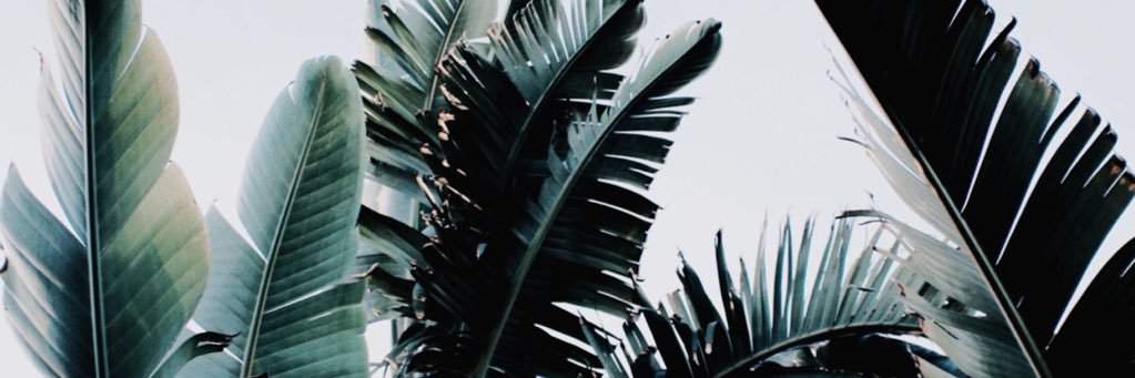 mccall_booth's profile banner image