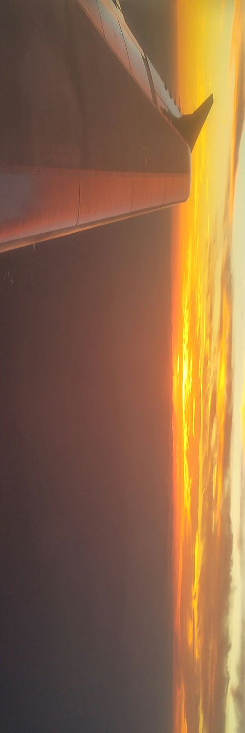 knsullivan16's profile banner image