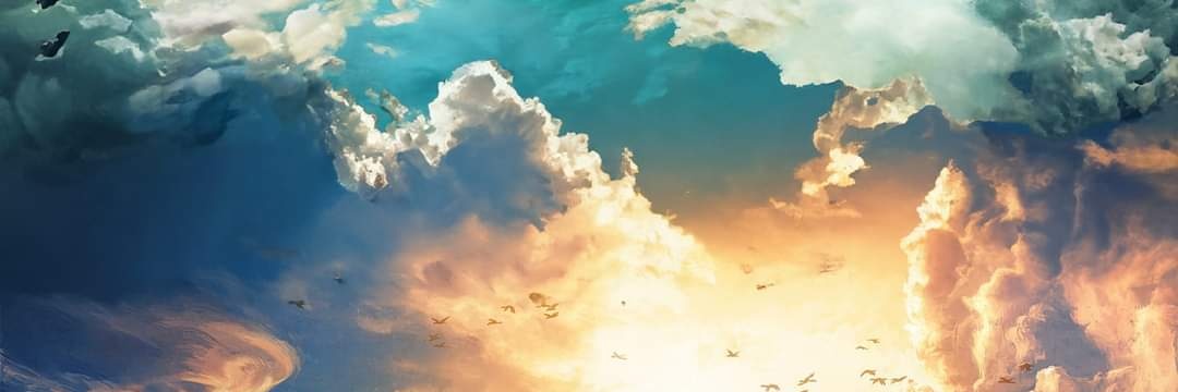 liszy_kaulitz's profile banner image