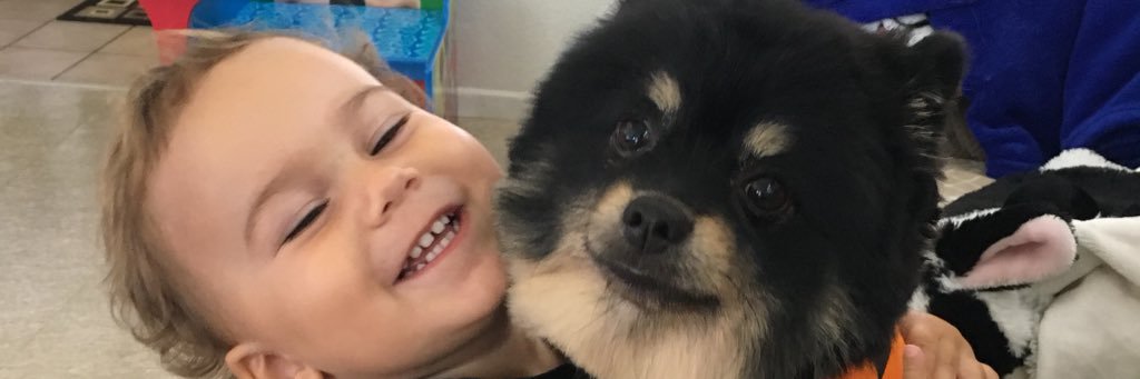 Valev86's profile banner image