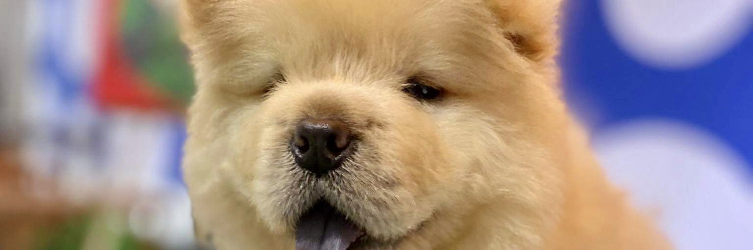 capt_maxy's profile banner image