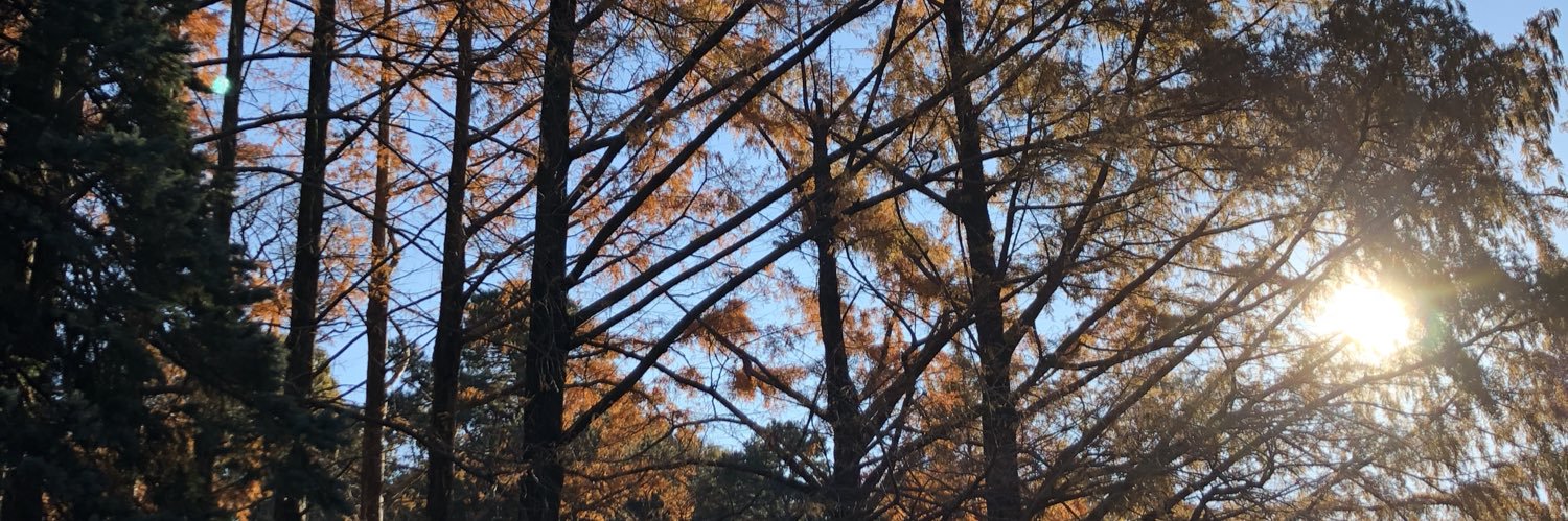 RestoringHst's profile banner image