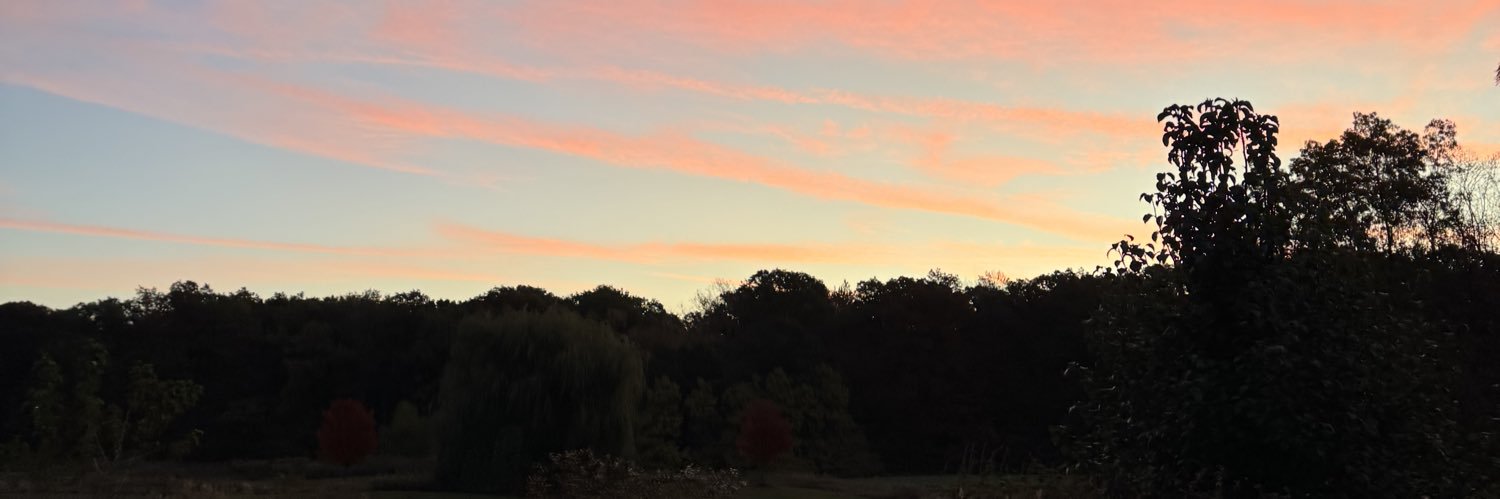 jess_stinger's profile banner image