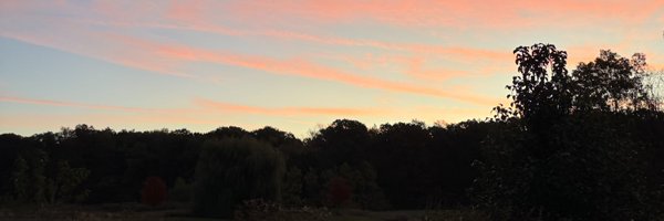 jess_stinger Profile Banner