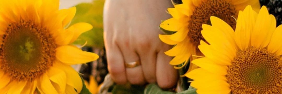 eiffelif's profile banner image
