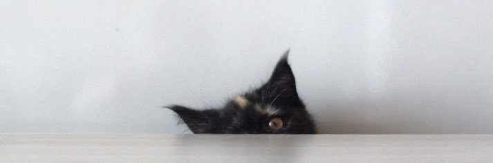 isilmiv's profile banner image