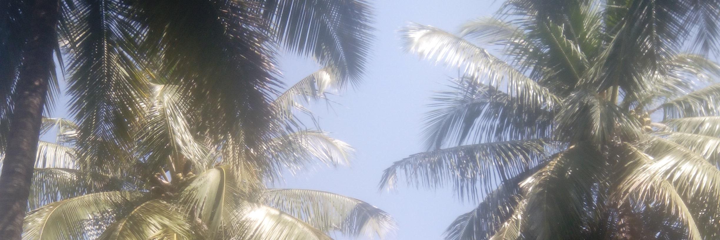 kkthedoc's profile banner image