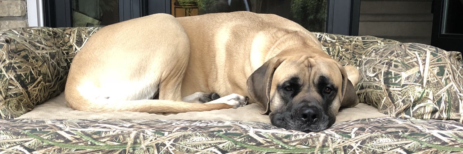 Tristan Jarry banner