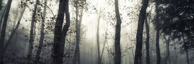 iamEmWay10's profile banner image