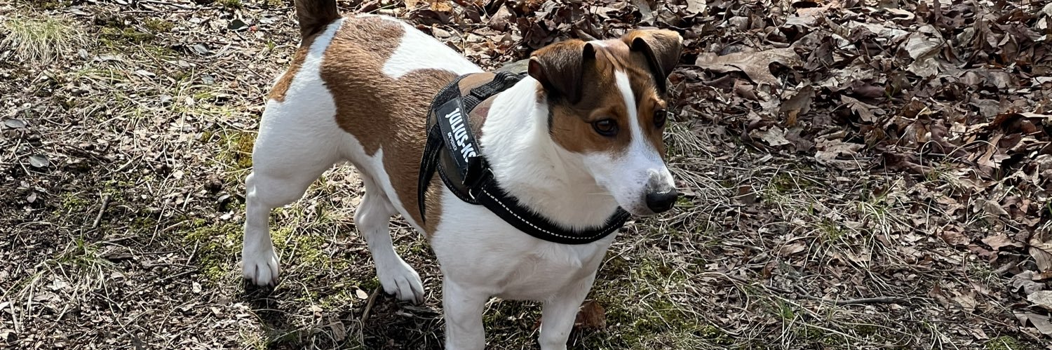 Rich Matthews banner