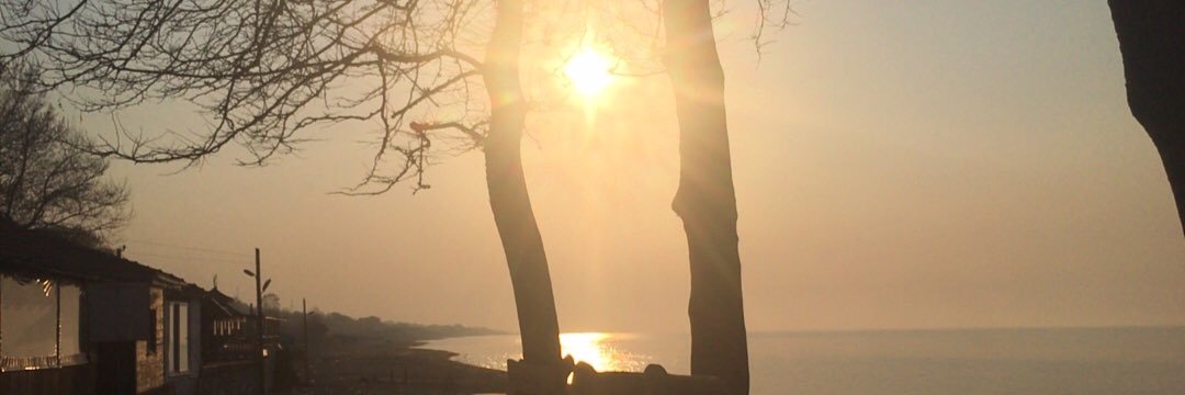 esrazver's profile banner image