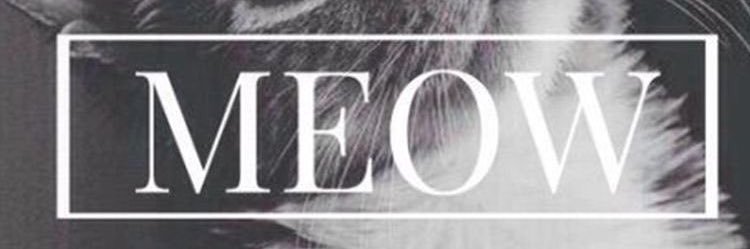 GizemPirimoglu's profile banner image