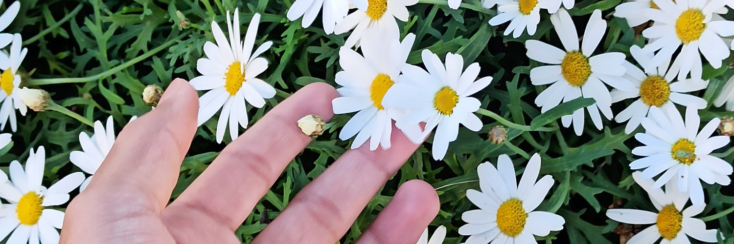 NotyourJavi's profile banner image