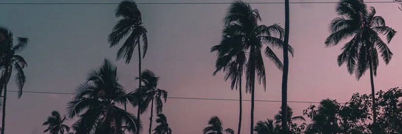 feergardunoo's profile banner image