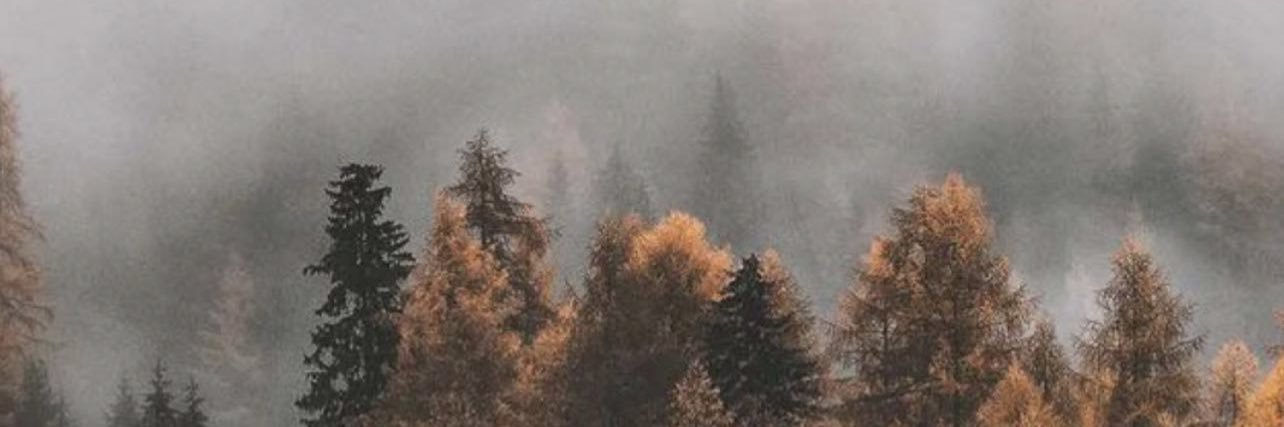 Sabrina_Addair's profile banner image