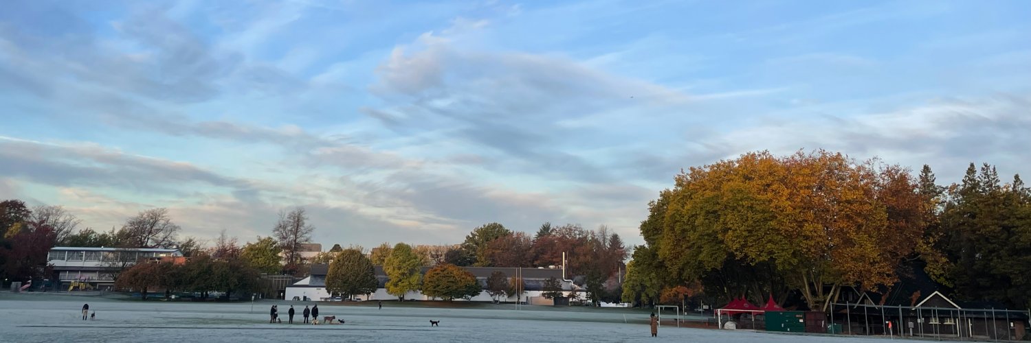 Linda Li banner