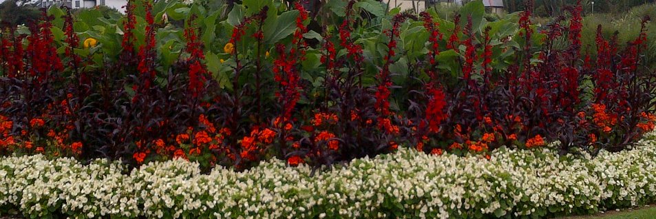 Șọlá Adéyẹmí banner