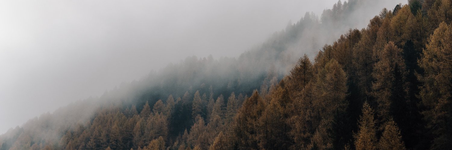 daniellevolante's profile banner image