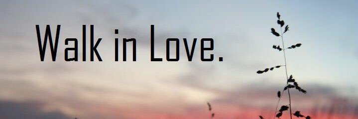 ktannharrison's profile banner image