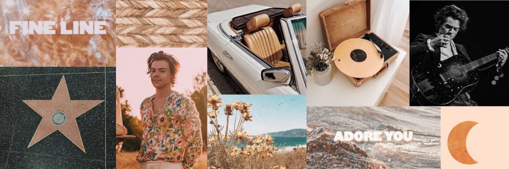 meg ⋒ banner