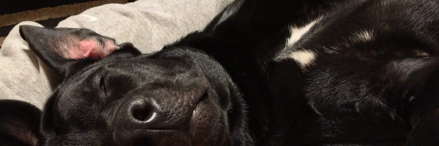 KyleDion1's profile banner image