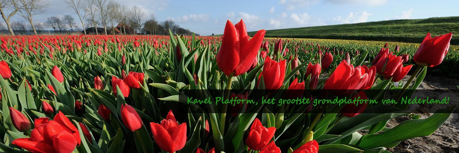 Kavelplatform's profile banner image