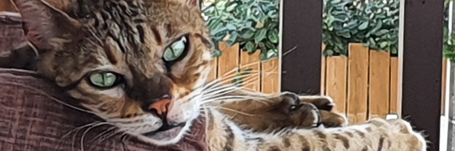 PookyMC's profile banner image