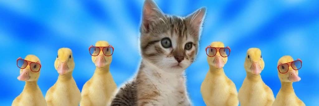 theRealFlintL's profile banner image