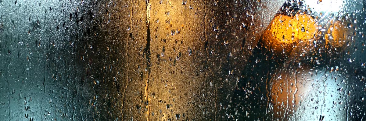 Victoria🦄🇺🇦 banner