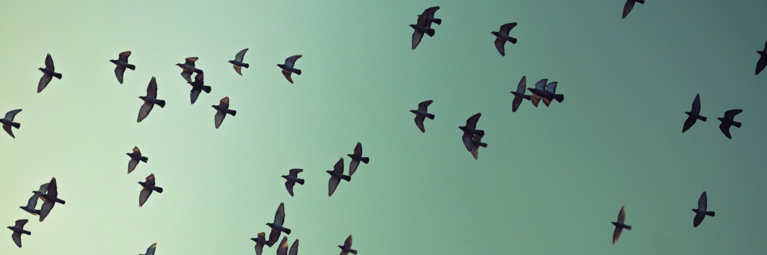 matitarey18's profile banner image