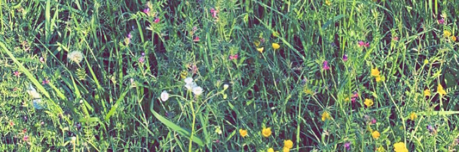 KarolineBowman's profile banner image