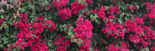 RichPurelyRich Profile Banner