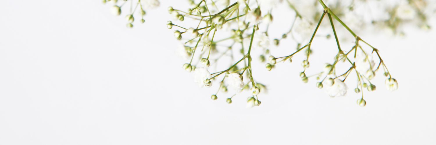 BookishBaker_'s profile banner image